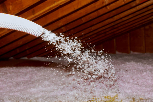 Best Cellulose Insulation in Montrose, MN