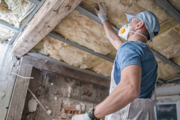 Best Insulation for Specific Applications in Montrose, MN